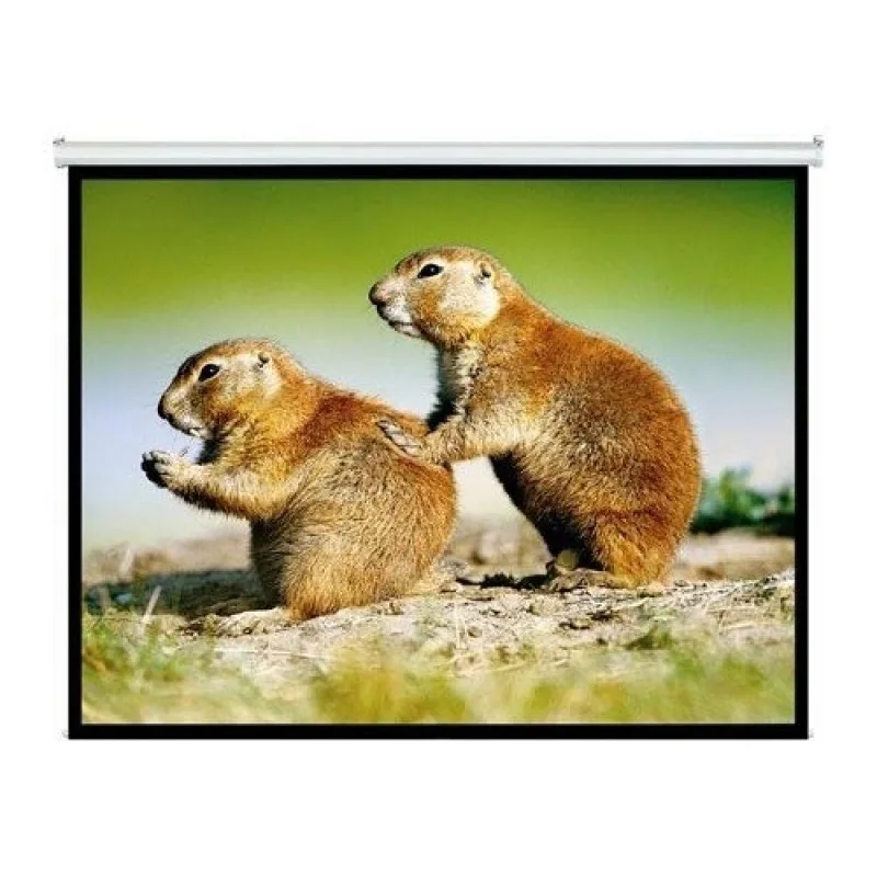 PANTALLA INTELAID PROYECTOR 120 PULGADAS COLGANTE IT-SPS120